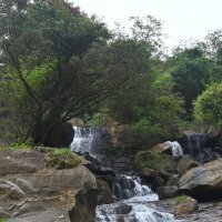 Шри-Ланка. Водопады Эссе. :: Александр Беляков Шри-Ланка. Водопады Эссе. :: Александр Беляков