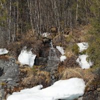 Снежные осколки :: Ольга 