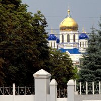 Купола собора. Елец :: MILAV V