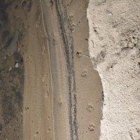 Следы на песке :: Наталия 