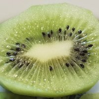 Киви :: Лилия * Киви :: Лилия *