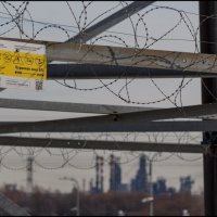 Запретная зона :: Михаил Кобзев