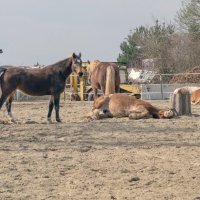 --- :: vladimir --- :: vladimir