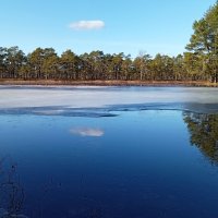 Мартовский воздух прозрачен и чист.. :: Татьян@ Ивановна Мартовский воздух прозрачен и чист.. :: Татьян@ Ивановна