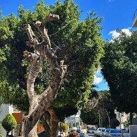 ЗМЕЙ   ГОРЫНЫЧ :: Анатолий Малобродский