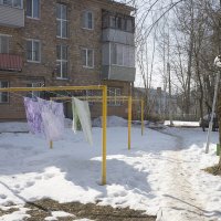 Не мог пройти мимо :: Владимир Носов