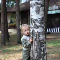 У берёзы. :: valser61