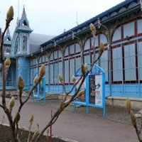 магнолия :: Игорь Kуленко