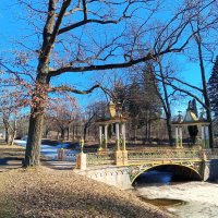 Весна :: Сапсан 