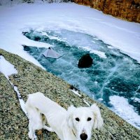 Друг :: Георгиевич Друг :: Георгиевич