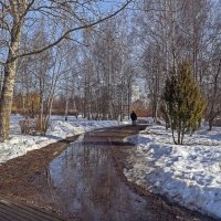 В парке лужи :: Валерий Иванович