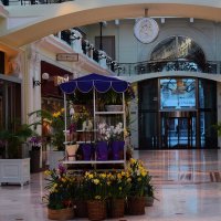 Весна в Петровском пассаже. :: Татьяна Помогалова