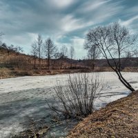 Весенние мотивы ... :: Ravile 