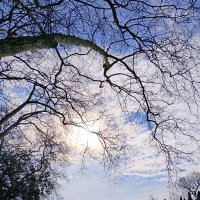 Март :: Tata Wolf