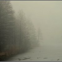Пришел туман... :: Aleksandr Gal Пришел туман... :: Aleksandr Gal