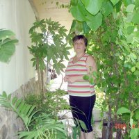 мой маленький сад :: Наталья Штанулина