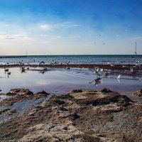 Каспий :: Анатолий Чикчирный