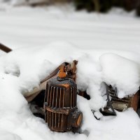 Техника :: Радмир Арсеньев