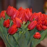 «Никто не знает, как правильно» :: Таня Фиалка