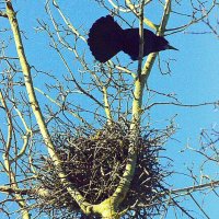 Весна в Подмосковье. Клин :: Дмитрий