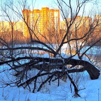 Яуза :: Наталья 