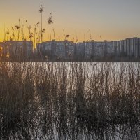 *** :: Игорь Протасов *** :: Игорь Протасов