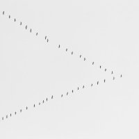 Клин :: Вадим *