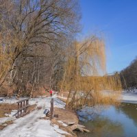 Март в Царицыно... :: Владимир Жданов