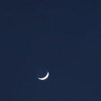 Молодой, совсем :: Андрей 