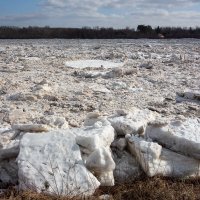 *** :: Геннадий Порохов