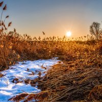 Тропинка уходящей зимы :: Григорий П