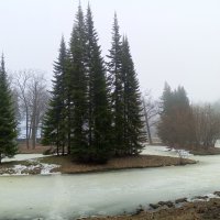 Туман :: Сапсан 