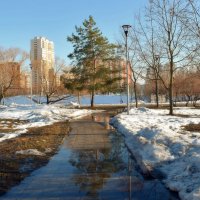 Весна пьянит своим дыханием. :: Татьяна Помогалова