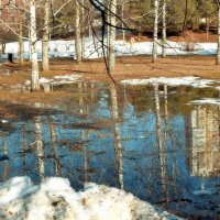 Природа просыпается, ликуя. :: Татьяна Помогалова