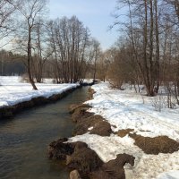 Измайловском парке - март :: Андрей Лукьянов
