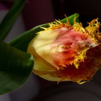 *** :: Виктор Иванович Чернюк