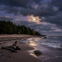 Лунная ночь на заливе :: Лилия 