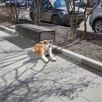 Припарковали :: Валерий Иванович