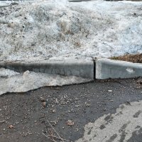 САБЛЕЗУБЫЙ БОРДЮРОПОРЕБРИК ОБЫКНОВЕННЫЙ :: Юрий Вовк