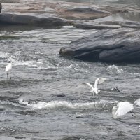 Шри-Ланка. Атмосфера. :: Александр Беляков