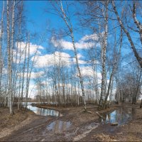 Весна :: **** vedin