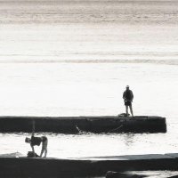 Клюёт? :: Николай Семёнов