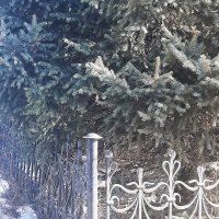 Город весной :: Галина Минчук