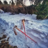 Конкурс на лучшее название! :: veilins veilins