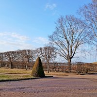 Рання весна-2026 :: Лия ☼