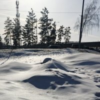 Снежный занос в парке . :: Мила Бовкун