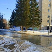 А весна то набирает обороты ! :: Мила Бовкун