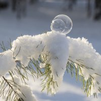 Пузырик :: Андрей Пристяжнюк