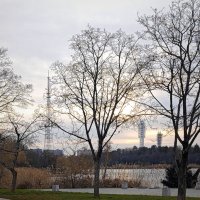 *** :: Игорь Протасов