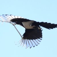 Весна. Стройка идёт. :: Елена Иванкина